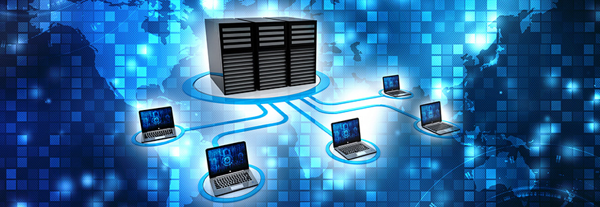 network3